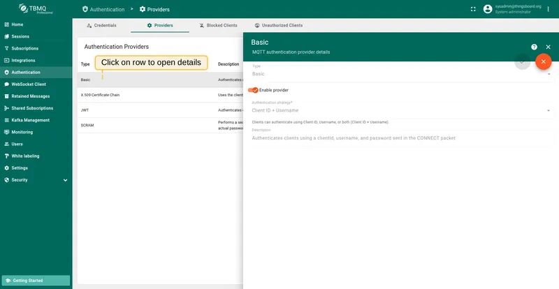 Open the Basic provider configuration page