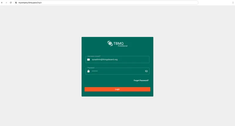 Access TBMQ using the custom domain name