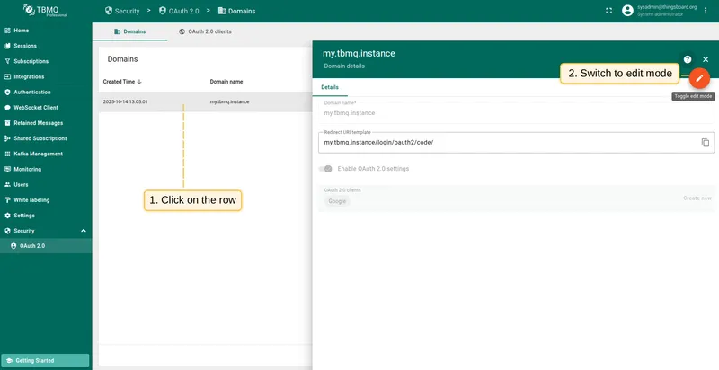View domain details and switch to editing mode