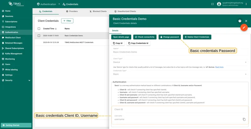 Basic authentication credentials parameters in TBMQ UI