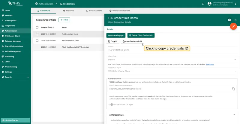 Copy TLS credentials ID from TBMQ UI