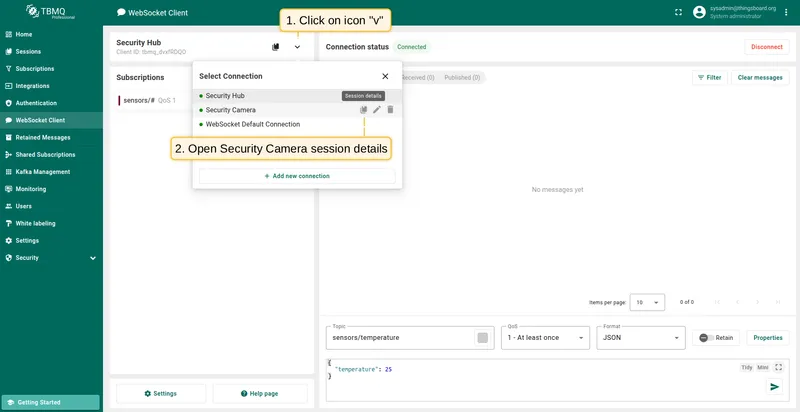 Click on Select Connection icon and open Security Camera session details.